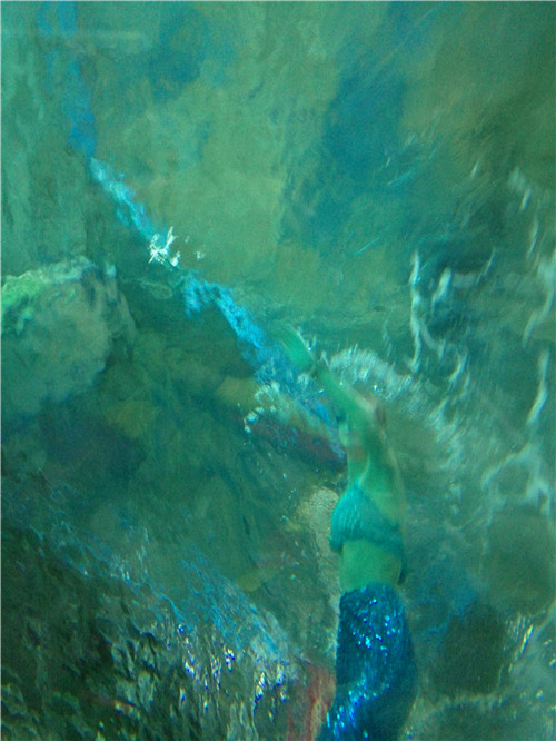 富国海底世界京津冀,游富国海底世界