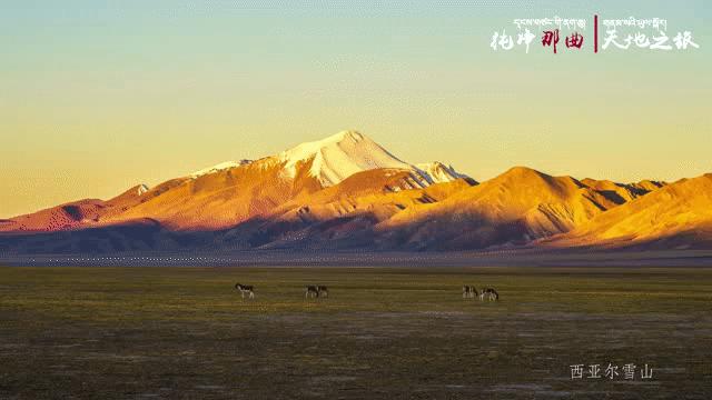 那曲锅庄舞,那曲鞋子店