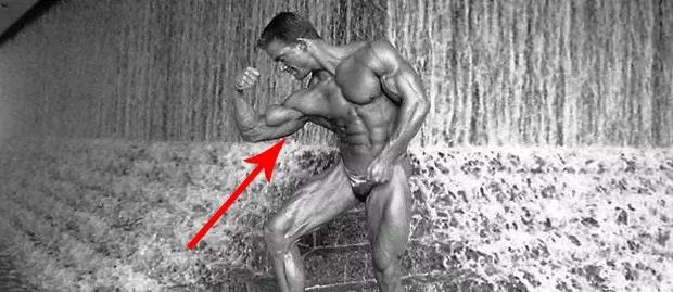 手臂哪些肌肉练了好看,手臂肌肉分析及训练方法