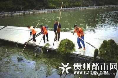 以我和我的祖国为话题感言,以我和我的祖国为主题演讲视频