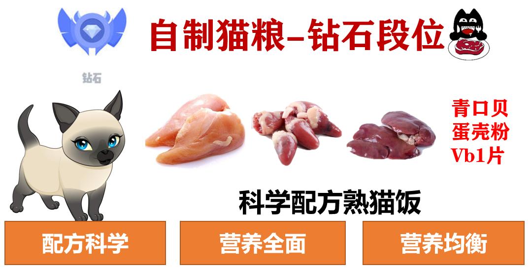 自制猫粮为什么不推荐煮而是蒸,自制猫粮有什么要求吗