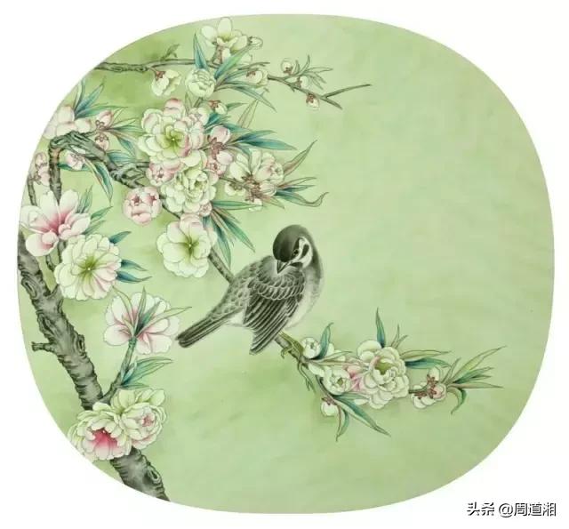 宋人工笔花鸟临摹步骤,工笔花鸟玉兰的画法