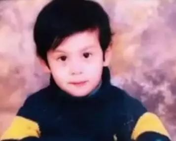 李玲玉吴磊,李玲玉混血儿子近照曝光