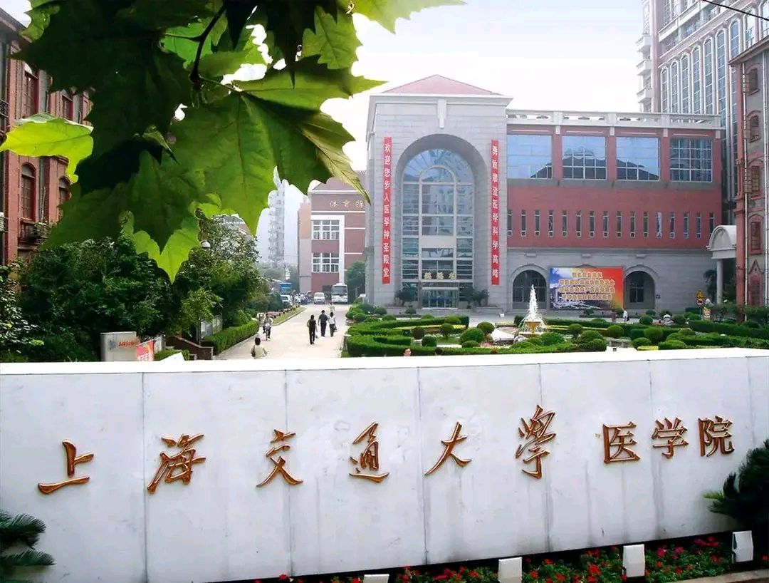上交医学院各个专业之间比较,上交医学院和同济医学院