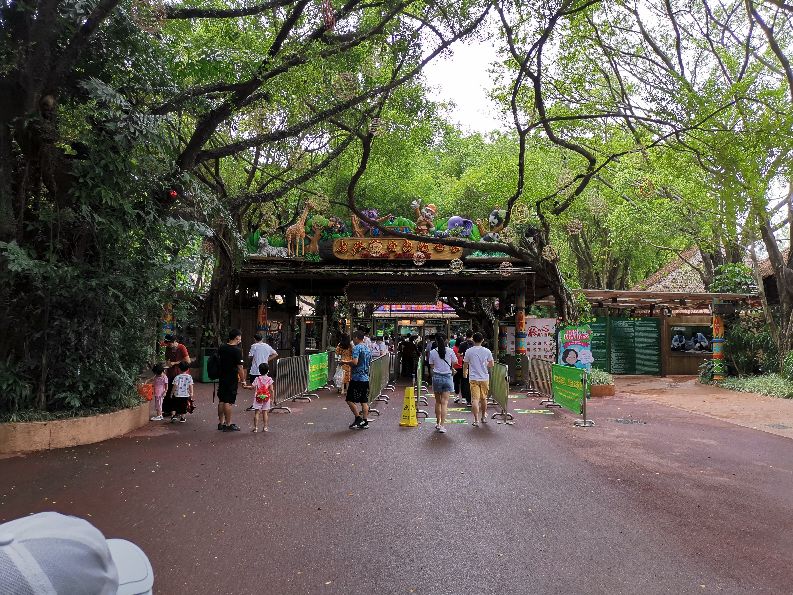 番禺长隆野生动物酒店住宿攻略,广州动物园和长隆野生动物世界