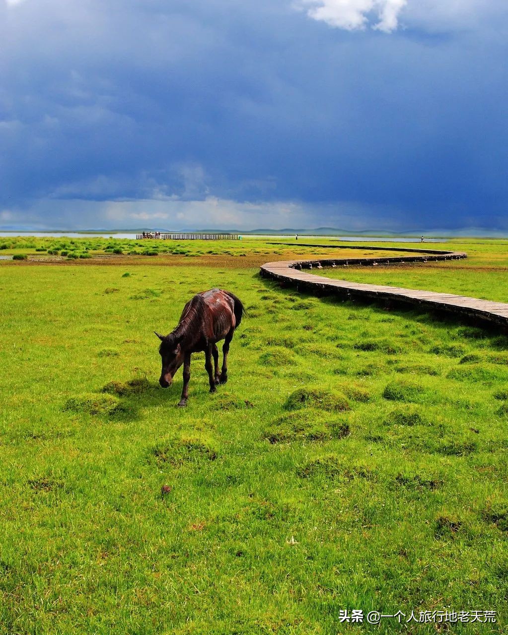 有生之年一定要去四川吗,年轻时不能去四川吗