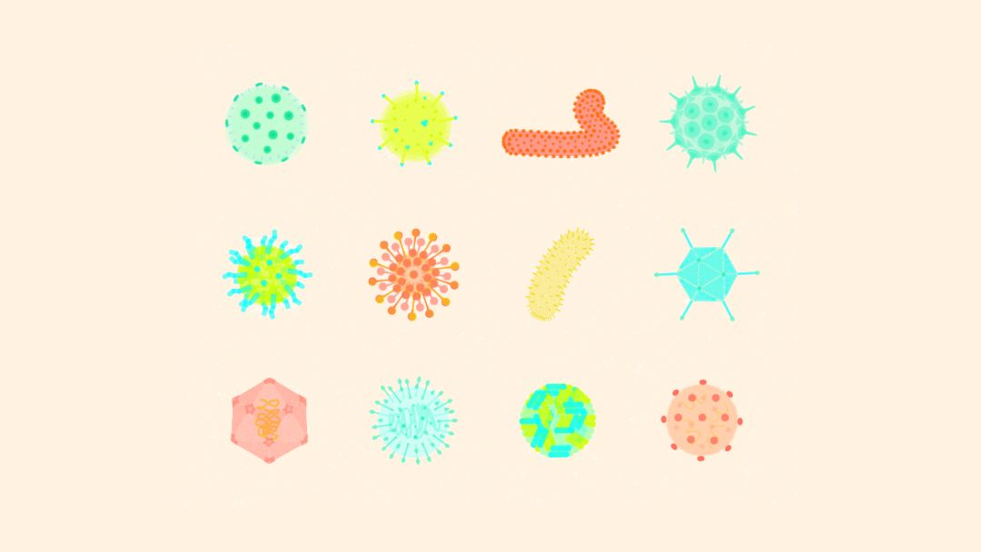 哪里长带状疱疹最危险,孕妇长疱疹咋办