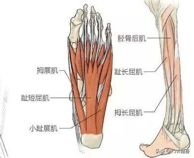 扁平足对运动有什么影响,扁平足适合什么运动项目