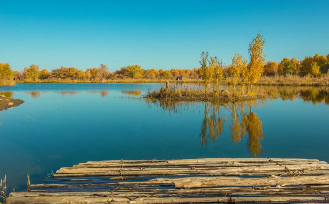 世界上90%的疾病都和情绪有关，不想生病的人一定要看看！