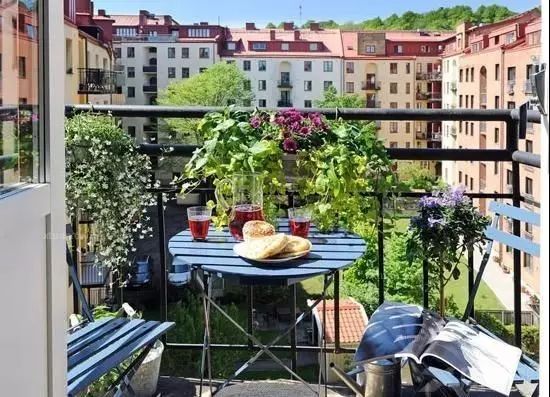 阳台打造成小花园超好养,阳台打造成小花园