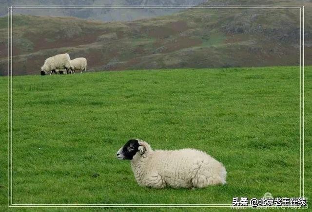 英国湖区景点排行榜,英国旅游推荐海边旅游景点