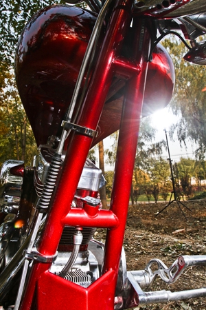 美国定制大象,美国定制大狗摩托车