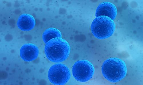 治疗癌症的免疫治疗是什么意思,15种癌症免疫治疗方案