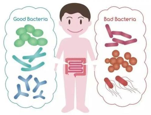 宝宝拉肚子怎么选3段奶粉,宝宝腹泻选什么奶粉好