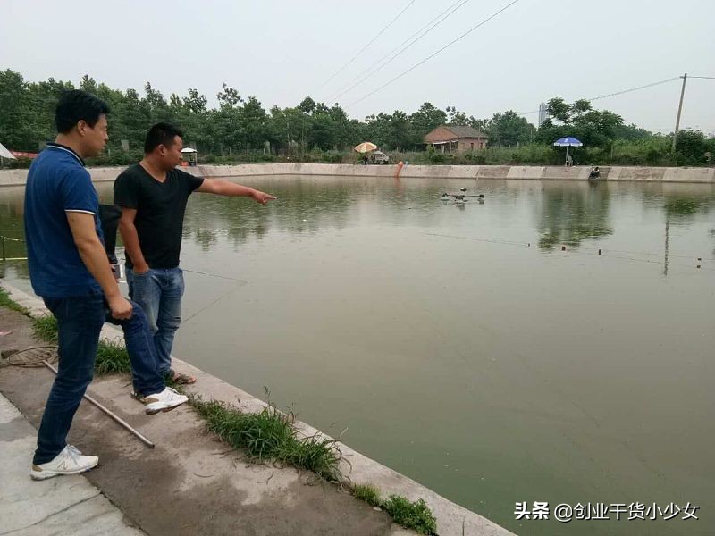 水泥池养殖泥鳅挣钱吗现在多少钱,泥鳅养殖致富项目