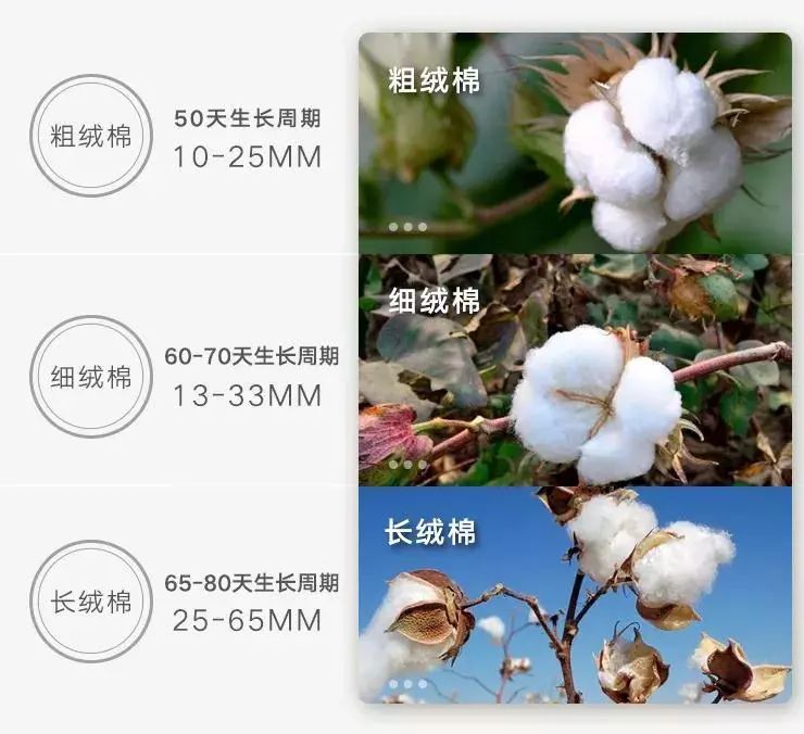 夏季白色衬衫应该哪种面料比较好,还在纠结穿什么呢