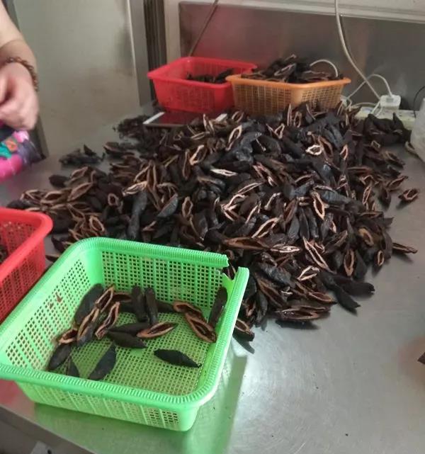 槟榔的广告被禁播了吗,官方叫停槟榔广告