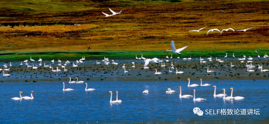 新疆天山世界文化遗产,天山为什么被入选为世界自然遗产