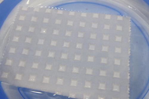 雅芳婷椰棕,雅芳婷测评