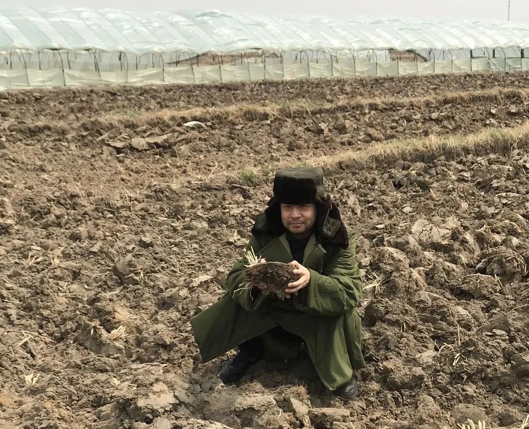 “中粮是绿皮火车，我们是高铁或飞机”丨专访龙米家创始人姜丰