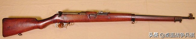 加拿大部队使用的步枪,加拿大步枪