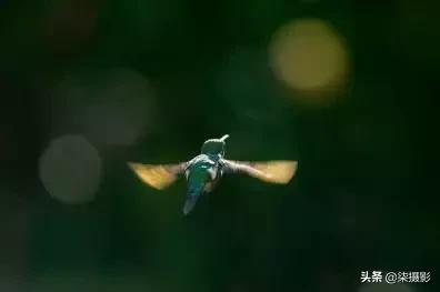 各种对焦模式的适用范围,聚焦区域和自动对焦模式的选择