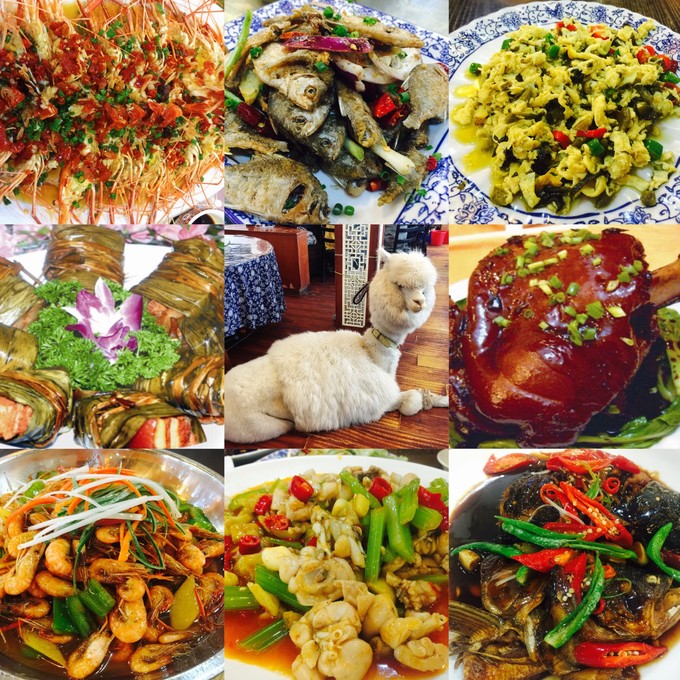 西塘古镇最全攻略,西塘古镇吃住攻略