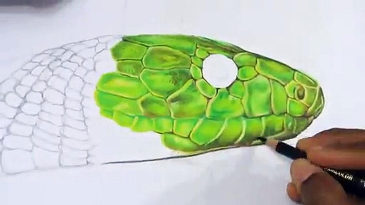 天生怕蛇注意什么,怕蛇的遇到蛇应该怎么办