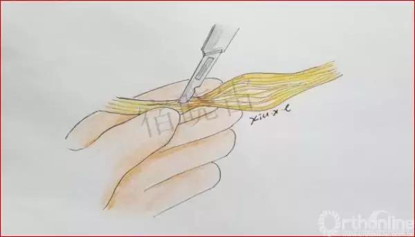 手绘科普视频,手绘类科普