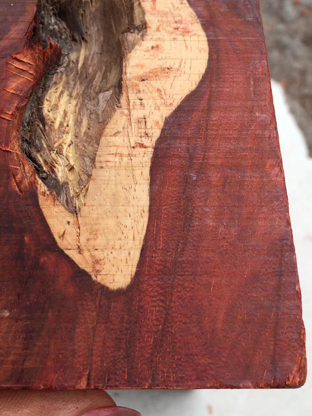 带你了解真正的印度,老料紫檀和印度小叶紫檀的区别