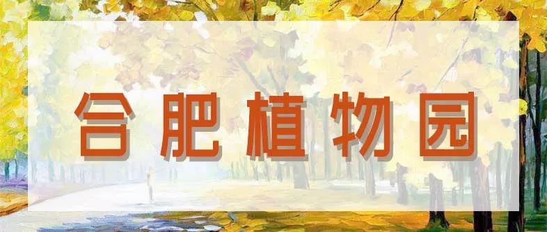 合肥秋季风景打卡地方排行榜,合肥最值得打卡地