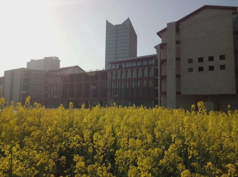 李光洁蒋欣河南艺术职业学院,蒋欣河南艺术职业学院什么专业