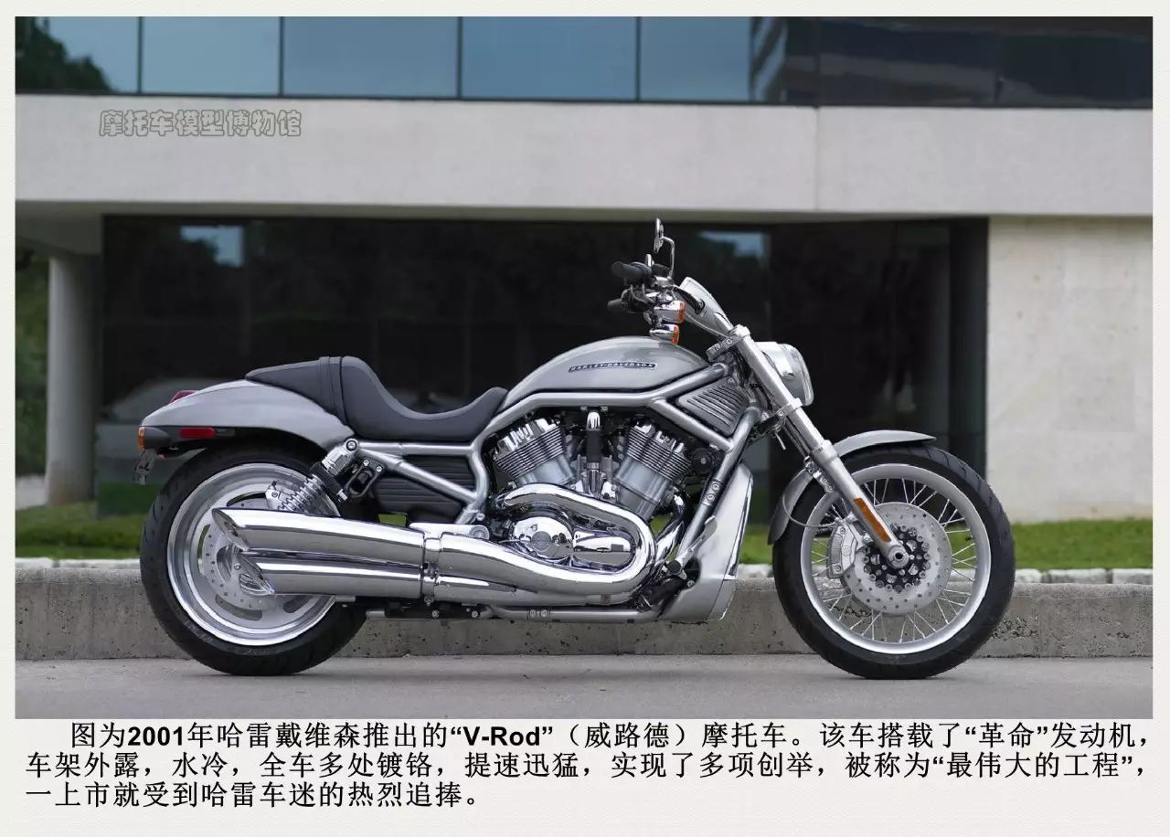 一枚小生,一枚小鲜肉视频