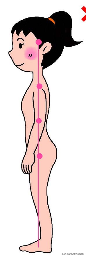 小腹突出骨盆前倾怎么锻炼,小腹挺起的动作