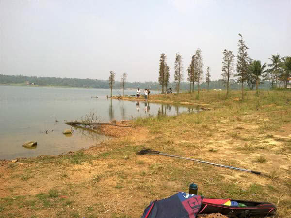 在两广地区，只要有此鱼存在的水域，钓鱼人断竿切线是常有的事