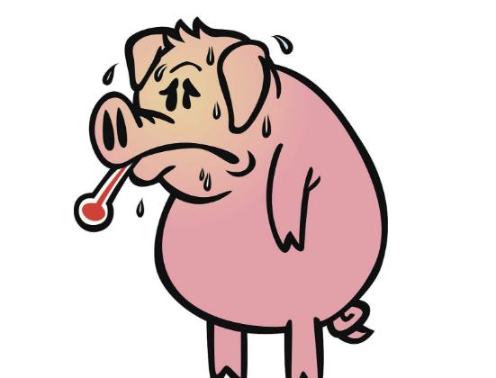 易伤风感冒吃哪种中药,伤风感冒的中药方剂