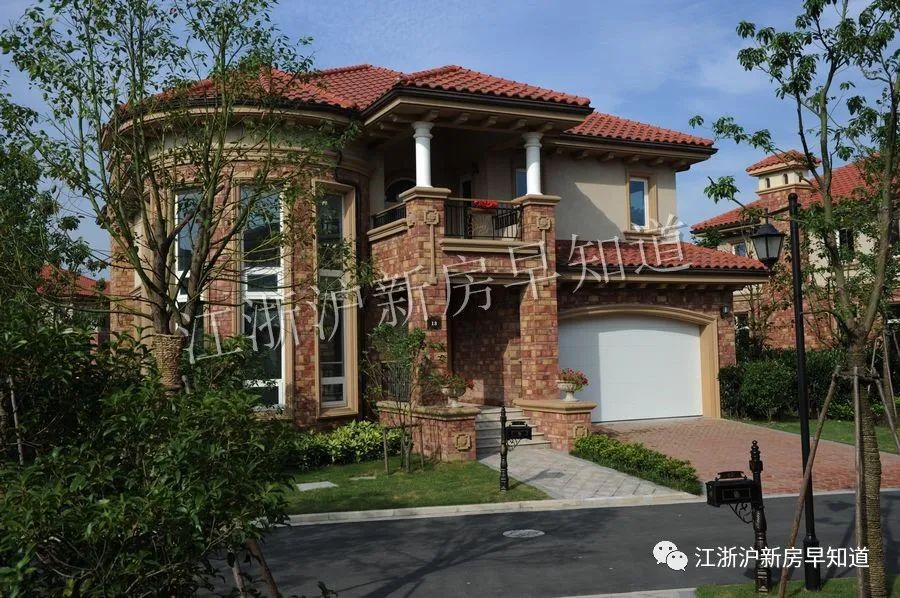 迪士尼别墅楼盘,上海浦东迪士尼花海自建房出售