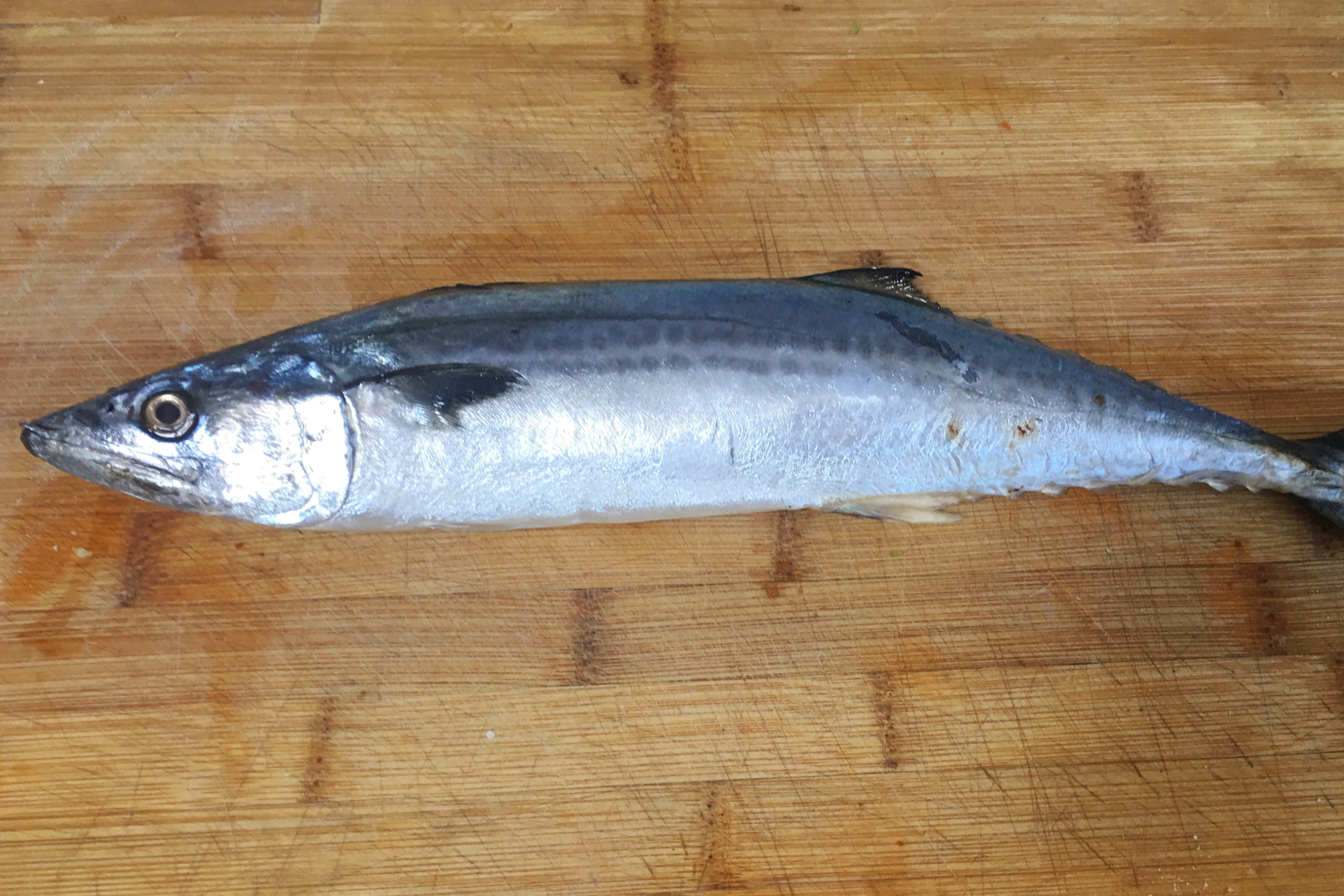 虾蟹一次吃不完怎么储存,鱼虾蟹怎么处理