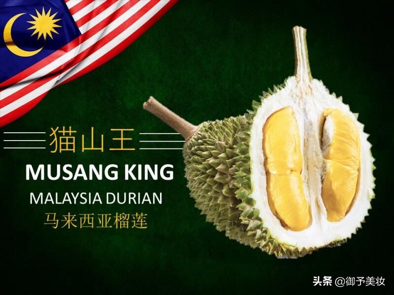 吃过马来西亚的榴莲,吃到马来西亚的黑刺猫山王