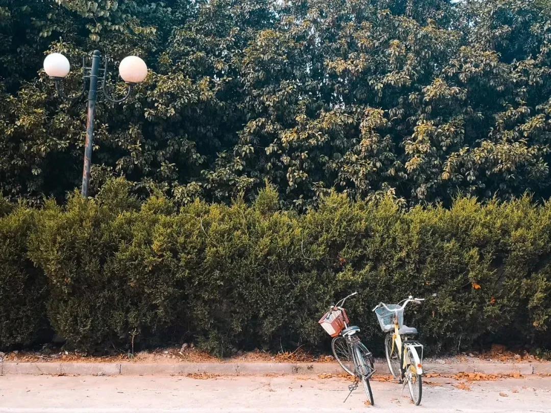 江苏财经大学,南京财经大学双非院校排名