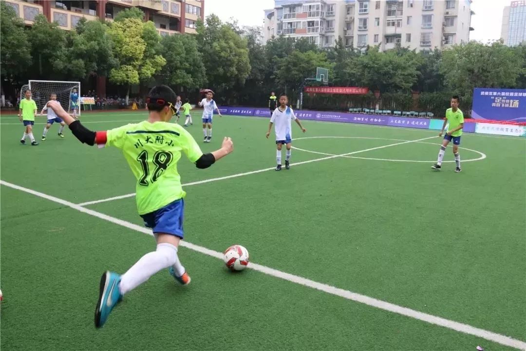 成都市试点5+4学校有哪些,成都市特长学校小学