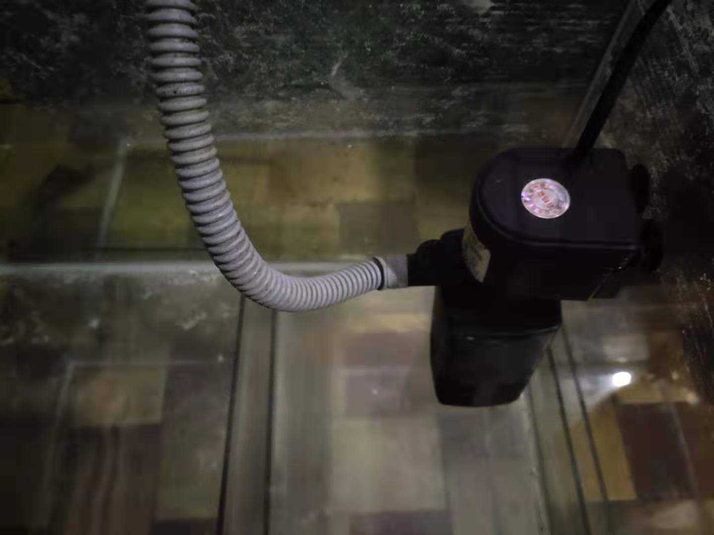 前置过滤器的优点和缺点是什么,人工鼻过滤器有什么优点与缺点