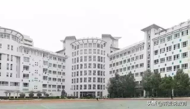 武汉排名前十的初中和高中,武汉各区初高中排名