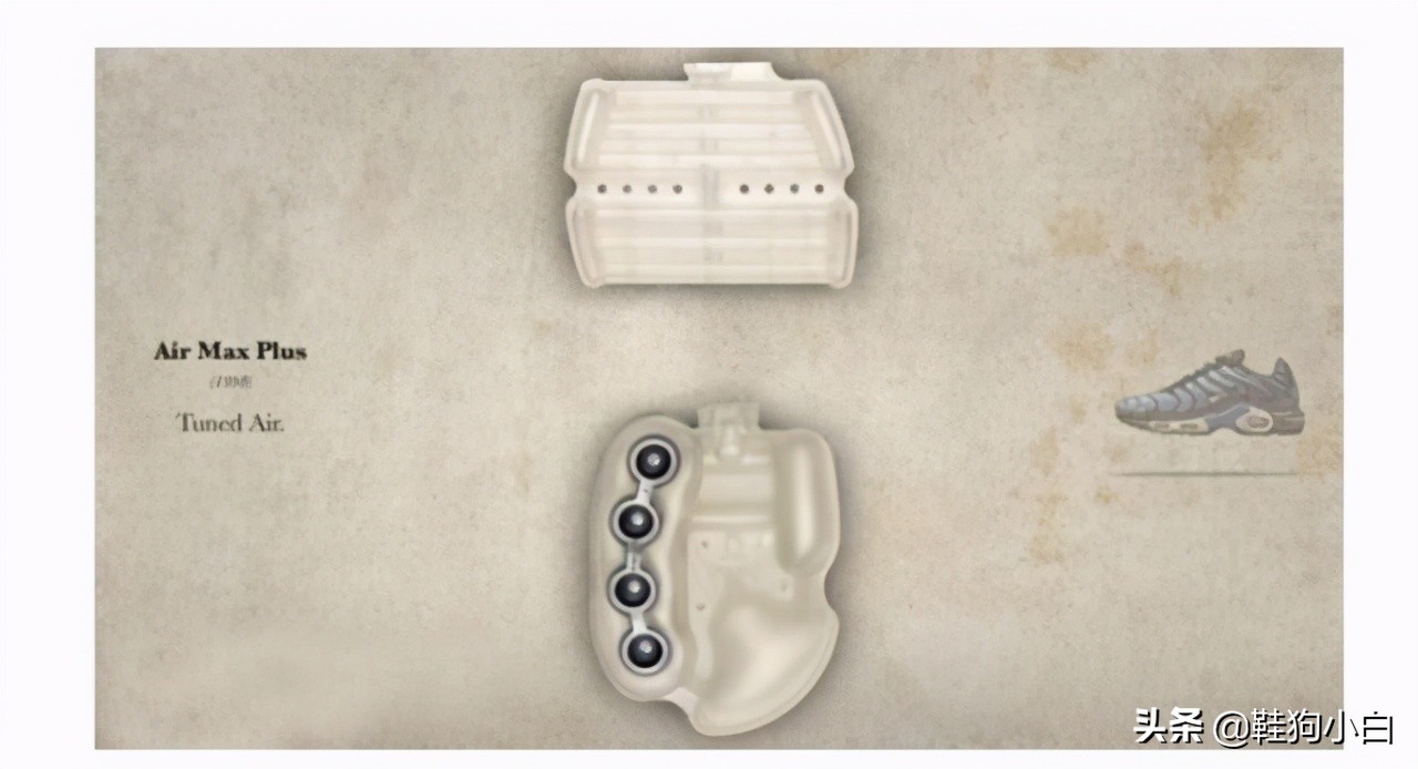 科普向未来知识内容,科普向未来的教学