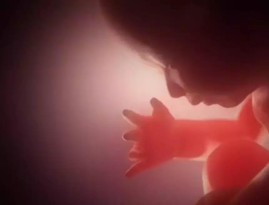 观赏鱼换水要不要加盐是食用盐吗,哪些观赏鱼不能使用杀菌盐