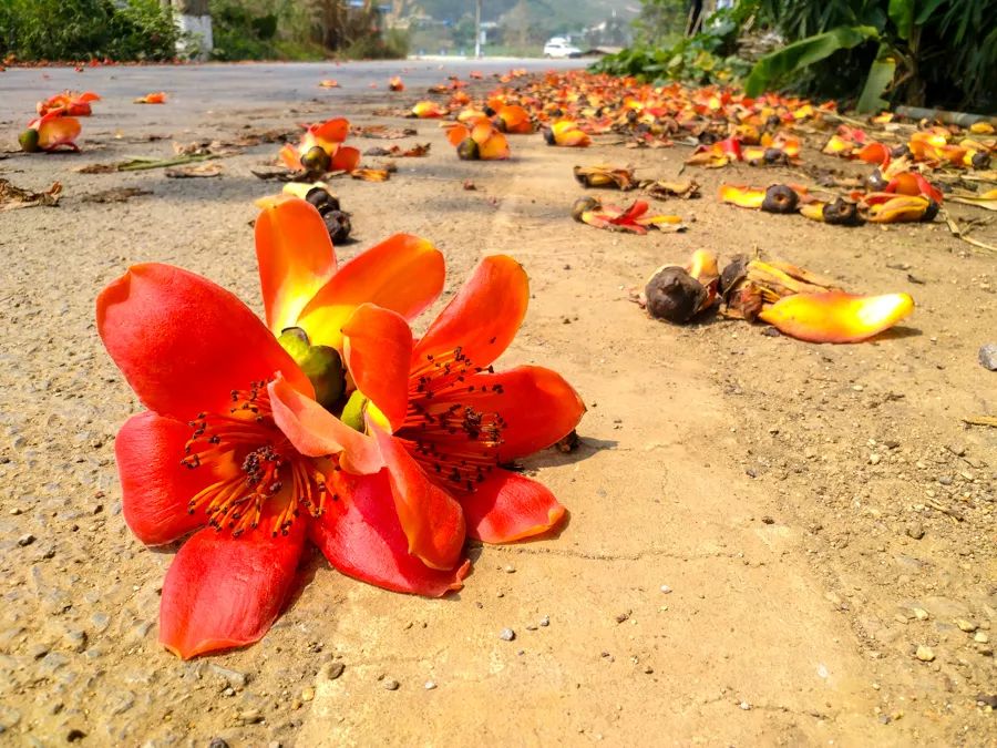 旅行是为了感受不一样的人生百态,旅行最好的状态就是不问归期