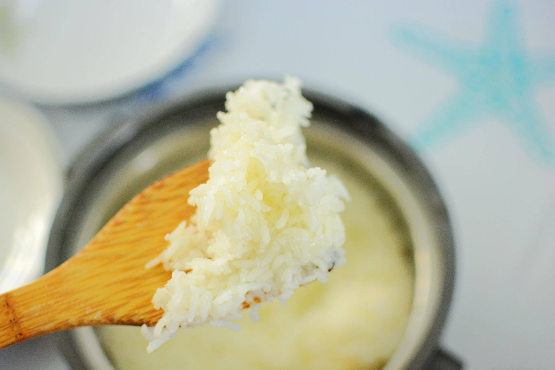 不加一滴水电饭煲做肉,不加一滴水的电饭煲鸡汤