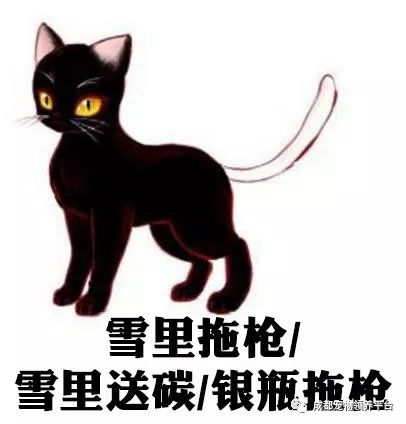 谁说土猫无名猫？快来围观古代猫谱，你家有没有镇宅神兽！