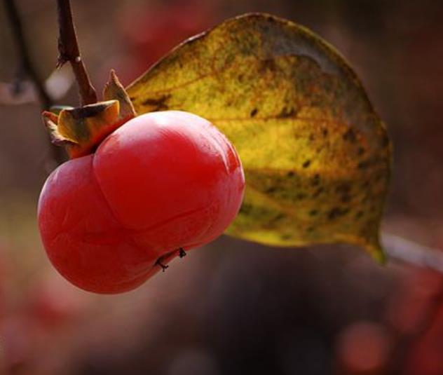 翻脸不认人的人最可怕,人生我们要学会翻脸不认人