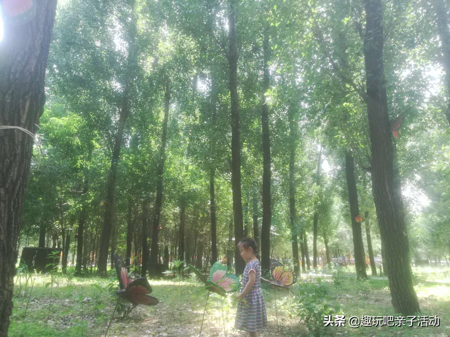 林栖谷森林温泉门票,林溪谷森林温泉度假村团购